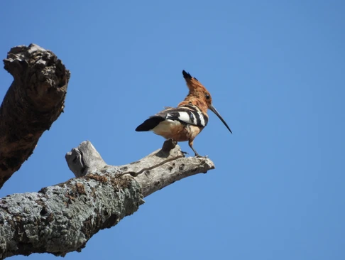 Dining tent, Land of Nature, Serengeti